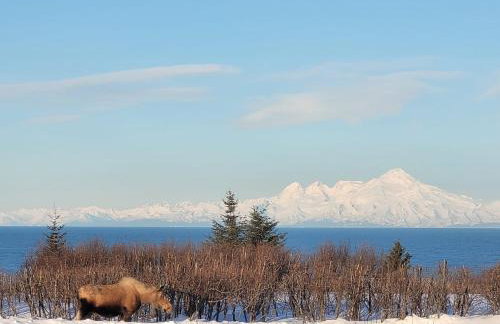 Touch of Alaska Volcano Vista - Foto 23