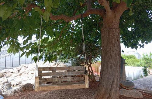 La Mery Giò House - Fasano - Foto 33