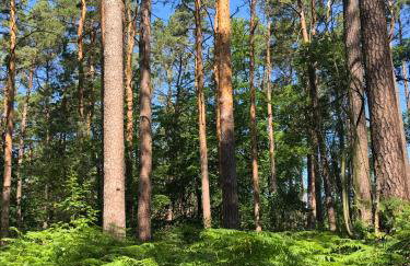 Apple Tree House - Foto 59