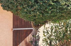 Li Cabanoun, Studios au Soleil Issambres Sainte-Maxime à 3min de la plage à pied - Foto 12