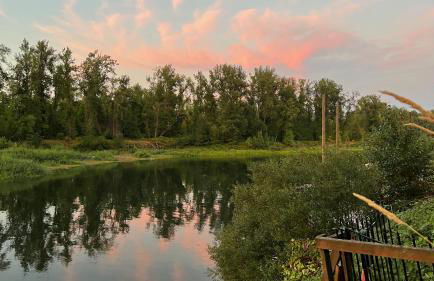 Blue Heron Sanctuary & Serene, river-front cottage - Foto 58