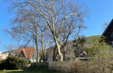 Finkennest Bad Harzburg - Foto 14