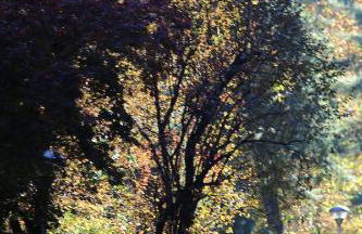 Bilocale Indipendente - Foto 38