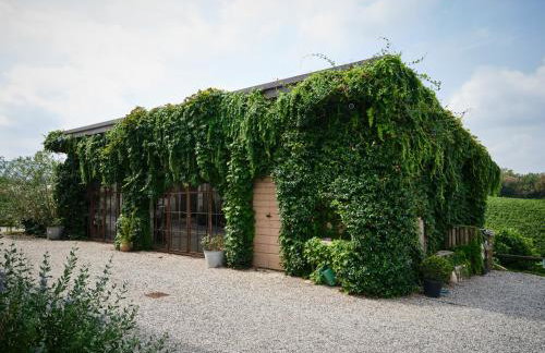 Verdenoce Agriturismo - Foto 70