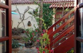 Finca Patio Canario - Foto 41