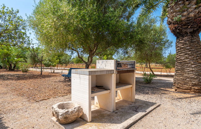 Son Viquet - Foto 33