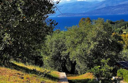 Villa Sania - Foto 53