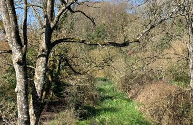 Linden Retreat - Foto 23