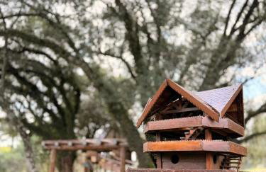Casa na Árvore em Guarapuava - Foto 14