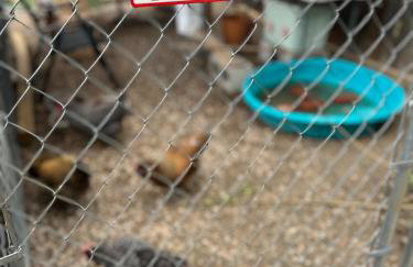 The Cowboy Corral - Foto 15