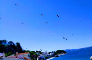 Apartmani Ines - Photo 12