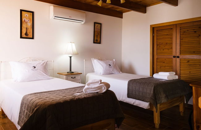 Adegas do Pico - Foto 35