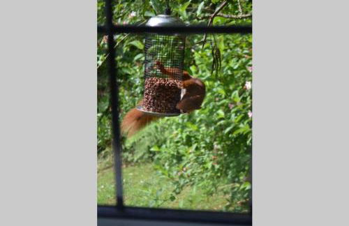 North Lodge Kilmun - Foto 28