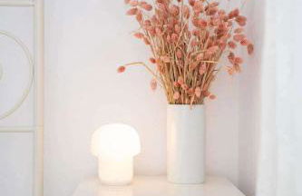 Olympian Chalet - Foto 32