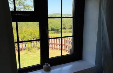 Cornflower - Photo 14