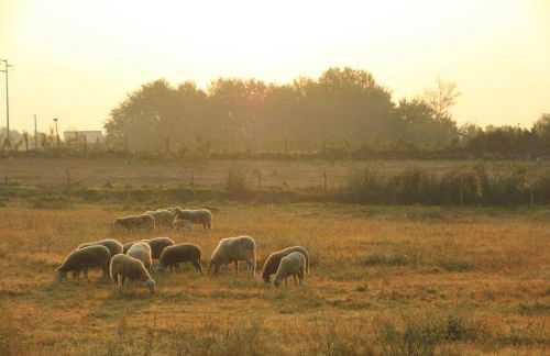 Agriturismo Locanda Pantanello - Foto 68