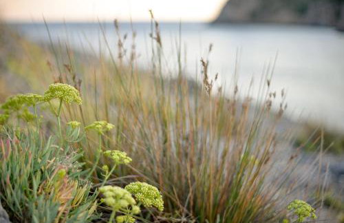 Asmanis Rooms - Photo 59