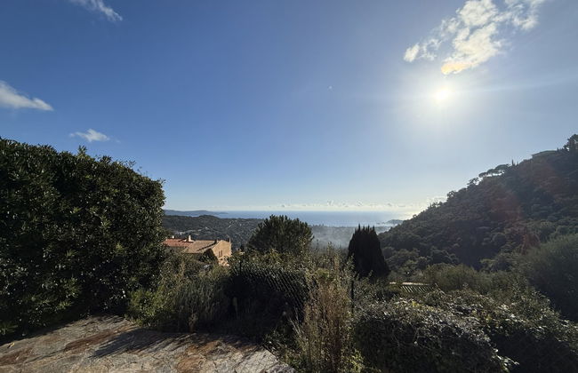 Domaine des Collieres - Foto 17