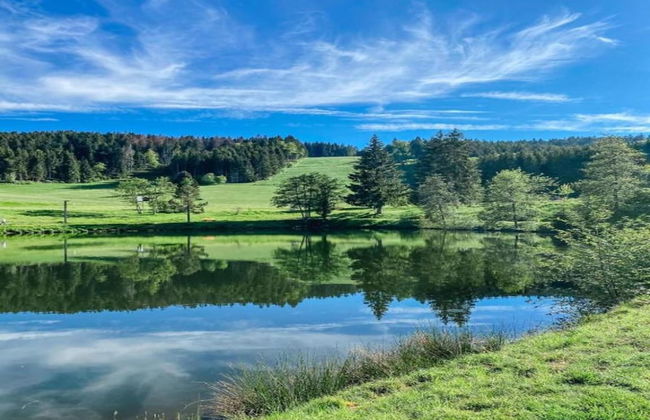 Apartment in Dachsberg-urberg - Foto 24
