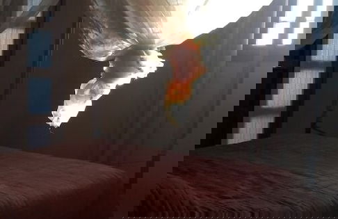 Bella Djerba - Foto 4