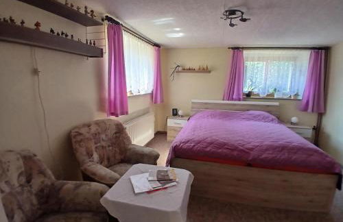 Ferienwohnungen Sommerfrische Lindenhaus - Foto 17