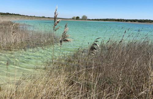 Casa Rural La Higuera - Foto 52