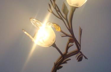 Casa Villar Mayor - Foto 21