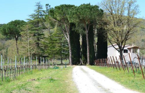 Agriturismo Barcavecchia - Foto 17