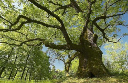 Cozy & Spacious Casa Friulana - Foto 16