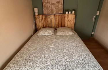 Appartement F1 duplex Hyper centre - Foto 13