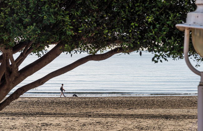 Solaga - Strand - Photo 34