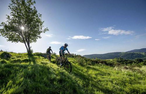 La Clémentine - Foto 45
