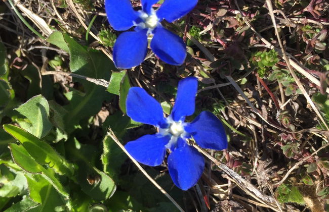 Amici 1. OG West - Foto 48