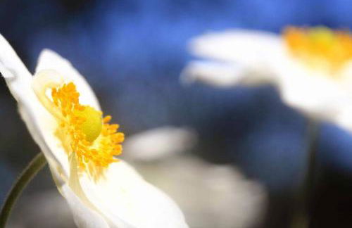 Maison de charme avec piscine - Foto 45