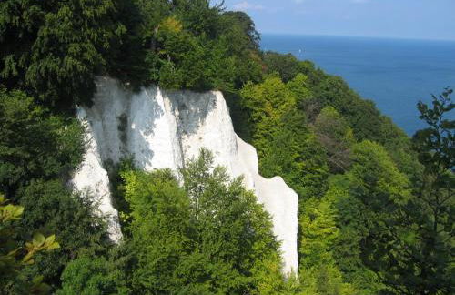 Hering FeWo I Apartment Terrace - Foto 14