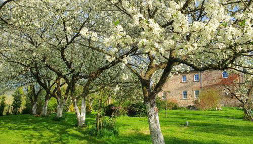 Pod Stromcem - Foto 2, Garden, Garden view