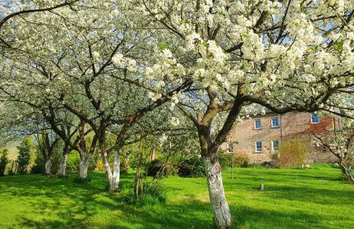 Pod Stromcem - Foto 2