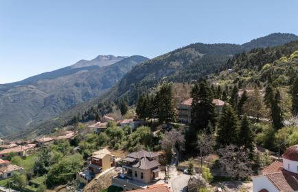 Luxury Mountain Memories Villa - Photo 45