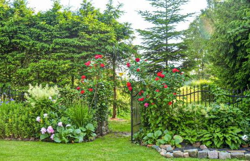 Cozy Home In Nowe Warpno With Wifi - Foto 9