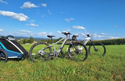 Ferienwohnung Sonnenplatzl - Foto 21