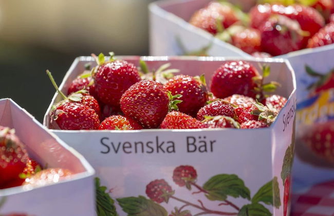 2 Person Holiday Home in Kil-by Traum - Foto 1