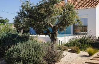 Casa Calmar - Foto 61