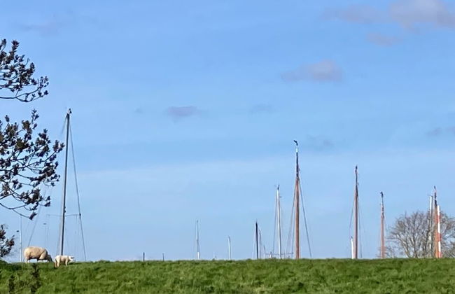 6pers House With a Private Terrace and Garden by the Lauwersmeer - Photo 43