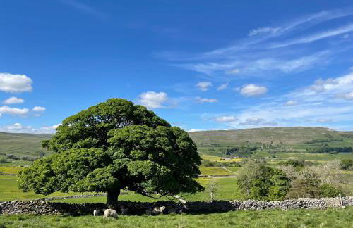 Heart Of Hawes Holiday Cottage - Foto 39