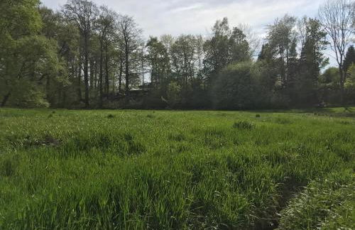 Borstel - Alte Schmiede - Foto 21