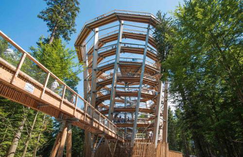 Alte Schmiede - Foto 19