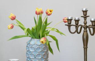 Garden Apartment in Amarynthos I - Foto 10