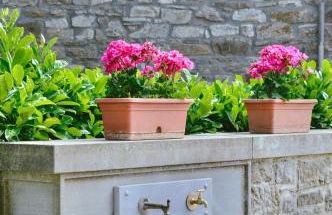 Agriturismo Vezzano - Foto 62