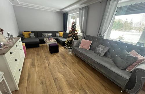 Dom pod lasem - Foto 13