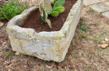 Salento Appartamenti - Foto 73